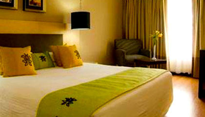 Hotel Green Park Chennai