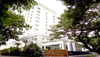 The Raintree